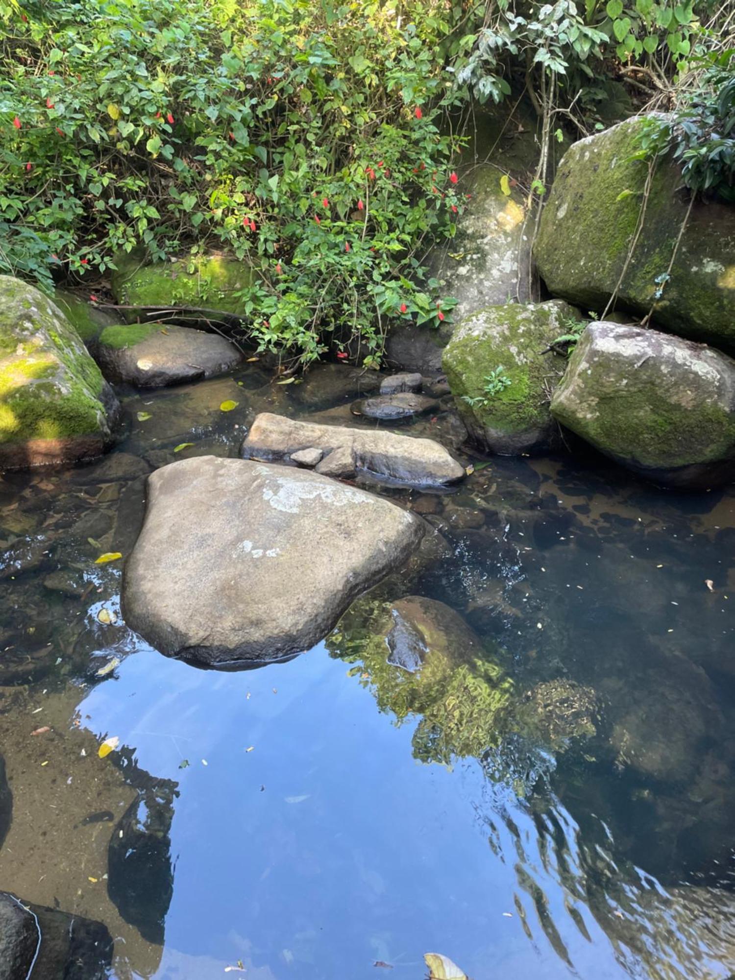 Casa Selva - Vila Do Abraao - Ilha Grande 외부 사진